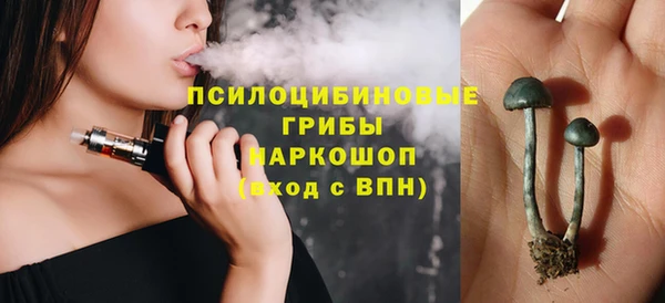 apvp Балахна